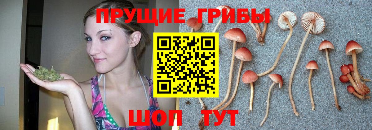 Галлюциногенные грибы Psilocybe  Галлюциногенные грибы мицелий  Вход с VPN  Волоколамск 
